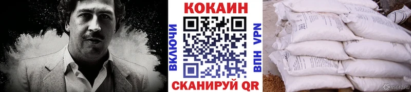 Купить где  Сосногорск  COCAIN Fish Scale 