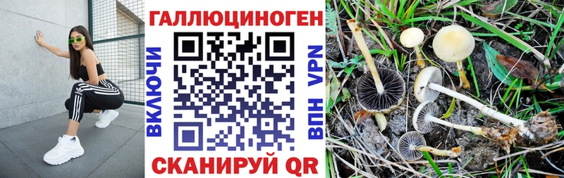 Купить закладки  Сосногорск  Псилоцибиновые грибы мицелий 